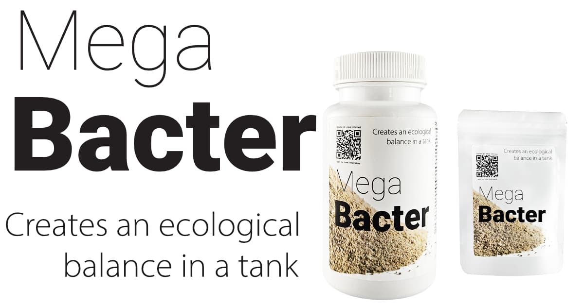 Qualdrop Mega Bacter 10g