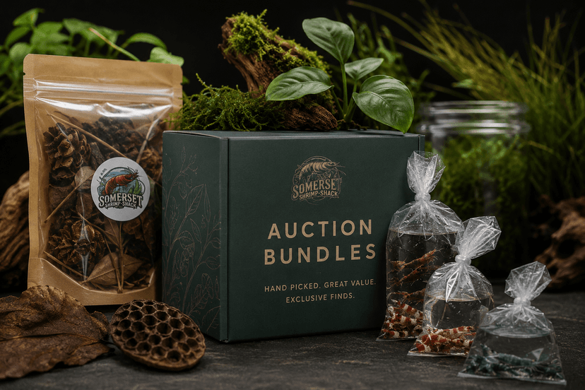 Auction Bundles