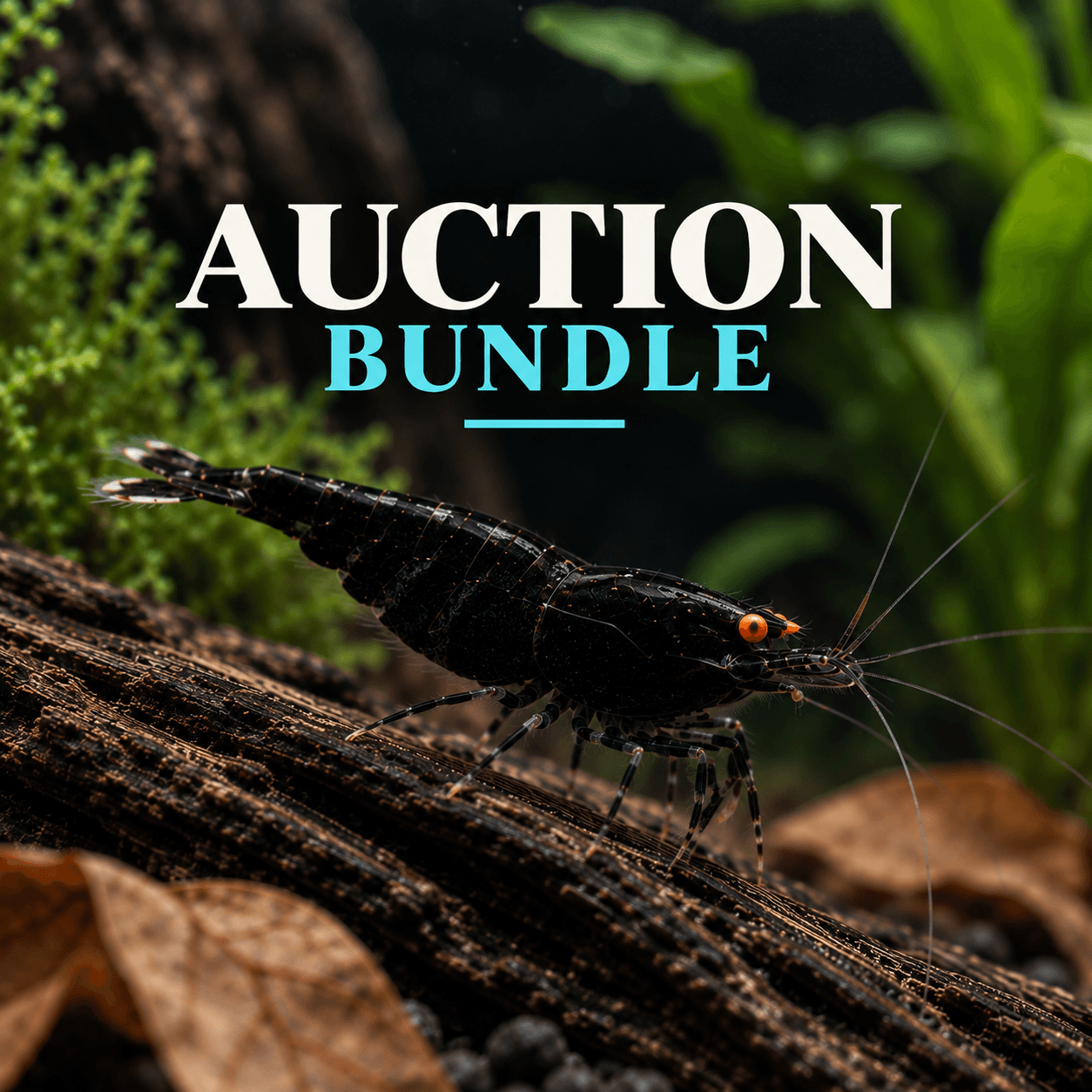 Scott1023 Auction Bundle